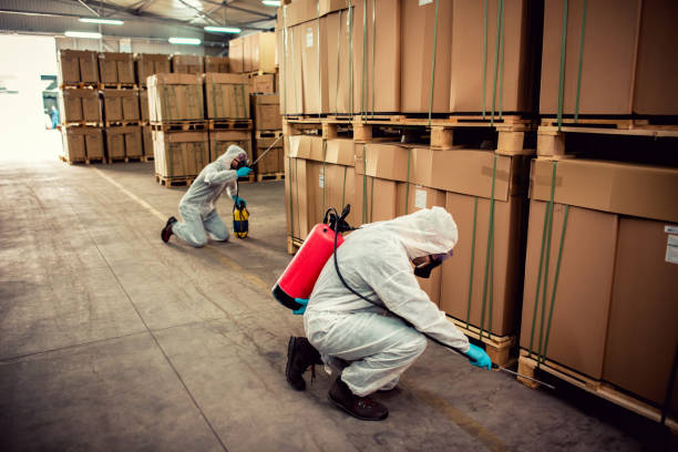 Best Residential Pest Control  in Rib Mountain, WI