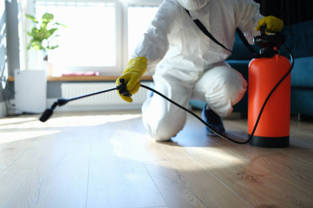 Best Wasp Removal Services  in Rib Mountain, WI
