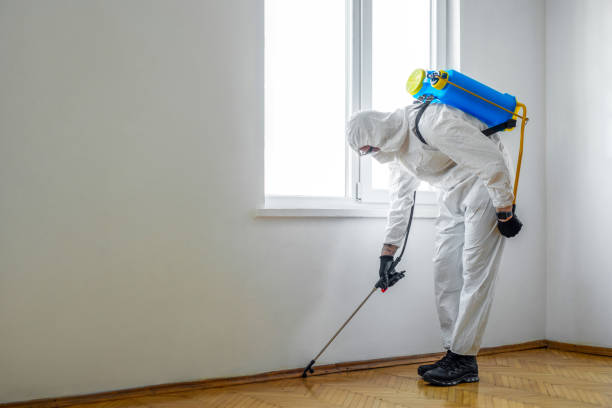 Professional Pest Control in Rib Mountain, WI