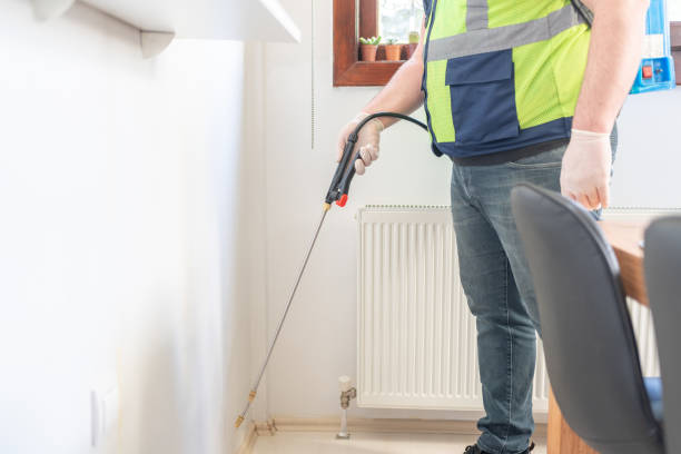 Pest Prevention Services in Rib Mountain, WI