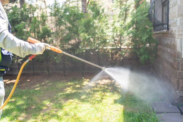 Best Ant Control Services  in Rib Mountain, WI