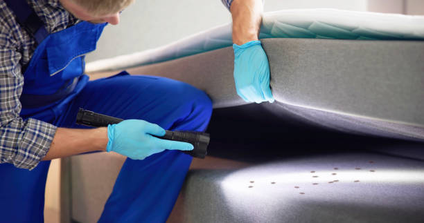Pest Control for Restaurants in Rib Mountain, WI