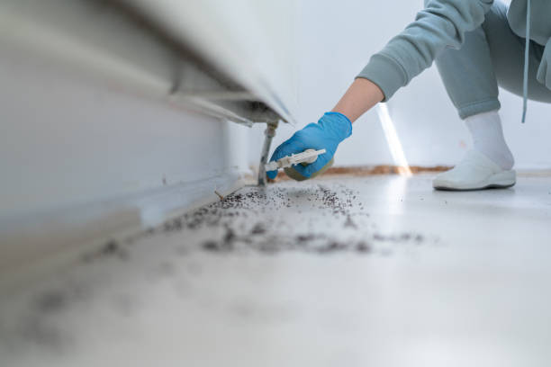 Pest Control Cost in Rib Mountain, WI